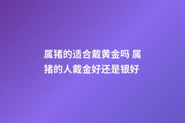 属猪的适合戴黄金吗 属猪的人戴金好还是银好-第1张-观点-玄机派